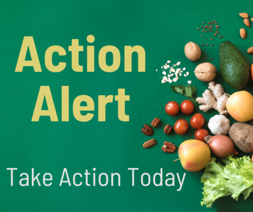 Take Action Today